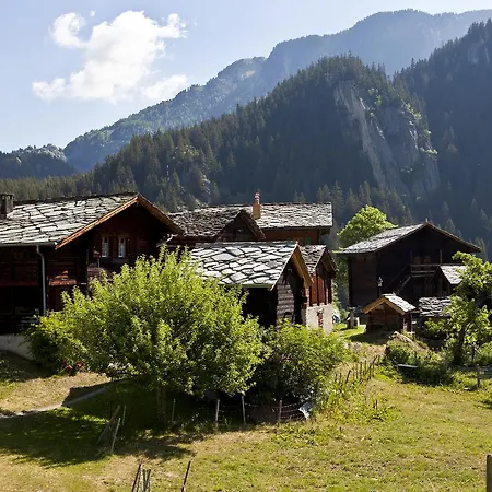 Susy * ナータース